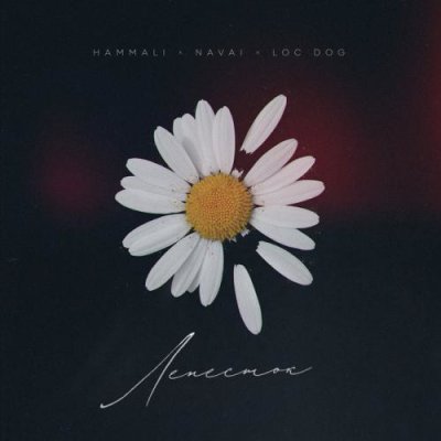HammAli & Navai & Loc-Dog - Лепесток | Текст песни