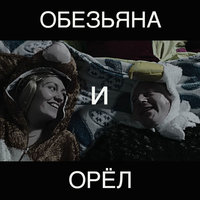 Ленинград - Обезьяна и Орёл