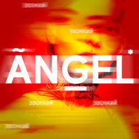 Звонкий - Angel