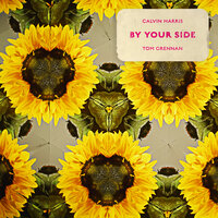 Calvin Harris, Tom Grennan - By Your Side, Lyrics