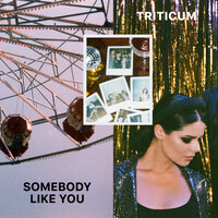 TRITICUM - Somebody Like You, текст песни
