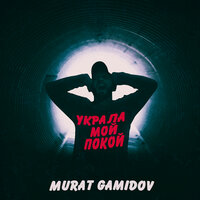 Murat Gamidov - Украла мой покой, текст песни