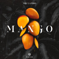 Mr Lambo - Mango, текст песни