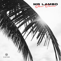 Mr Lambo - Slow Dance, текст песни