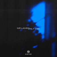 Mr Lambo - Only Vibe, текст песни