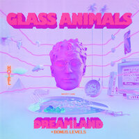 Glass Animals - Heat Waves, текст песни