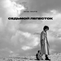 Антон Токарев – Седьмой лепесток, текст песни