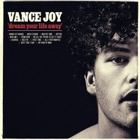 Vance Joy - Riptide, текст песни