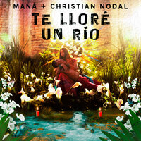 Maná & Christian Nodal - Te Lloré Un Río, Letra