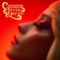 Cannons - Hurricane, Lyrics