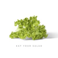 Citi Zēni - Eat Your Salad, Lyrics Eurovision 2022 Latvia