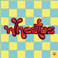 Wheatus - Teenage Dirtbag, Lyrics