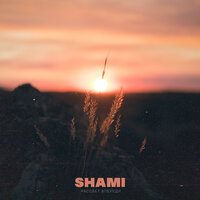 SHAMI - Рассвет впереди текст песни