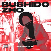 BUSHIDO ZHO - Что ты базаришь текст песни