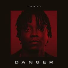 Terri - Danger Lyrics