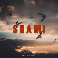 SHAMI - Белые Птицы | Текст песни