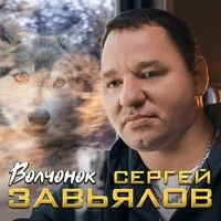 Сергей Завьялов - Волчонок | Текст песни
