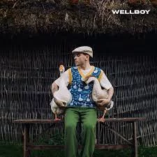 Wellboy - Гуси | Текст пісні