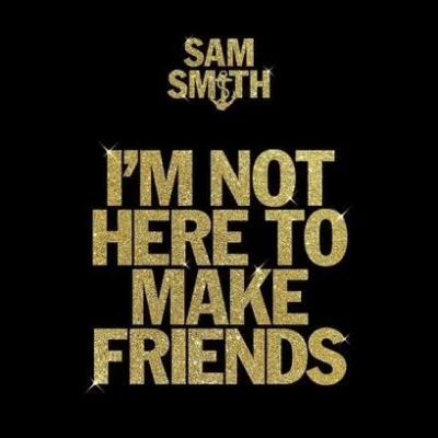 Sam Smith - I'm Not Here To Make Friends | Lyrics