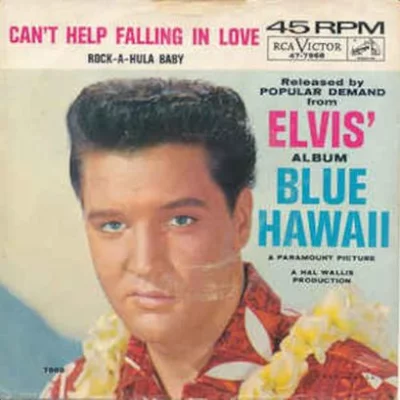 Elvis Presley - Can't Help Falling In Love | Karaoke, Lyrics