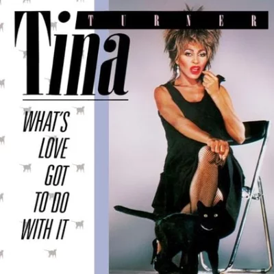 Tina Turner - What's Love Got To Do With It | Lyrics